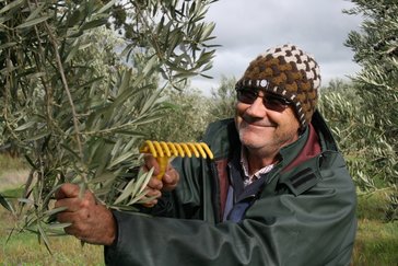 Kim Darmody Tathra Homestead Australian extra virgin olive oil